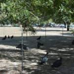 OTRA2014_1681 (September 06, 2014)